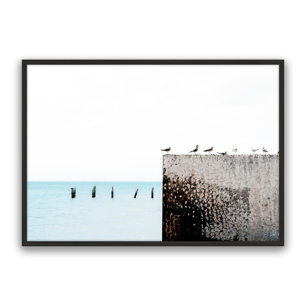 Birds View