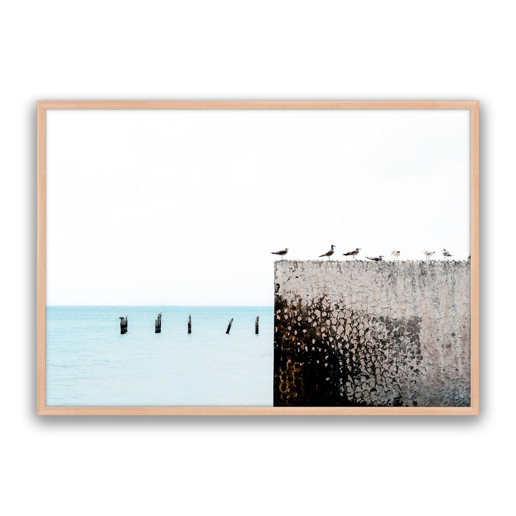 Birds View