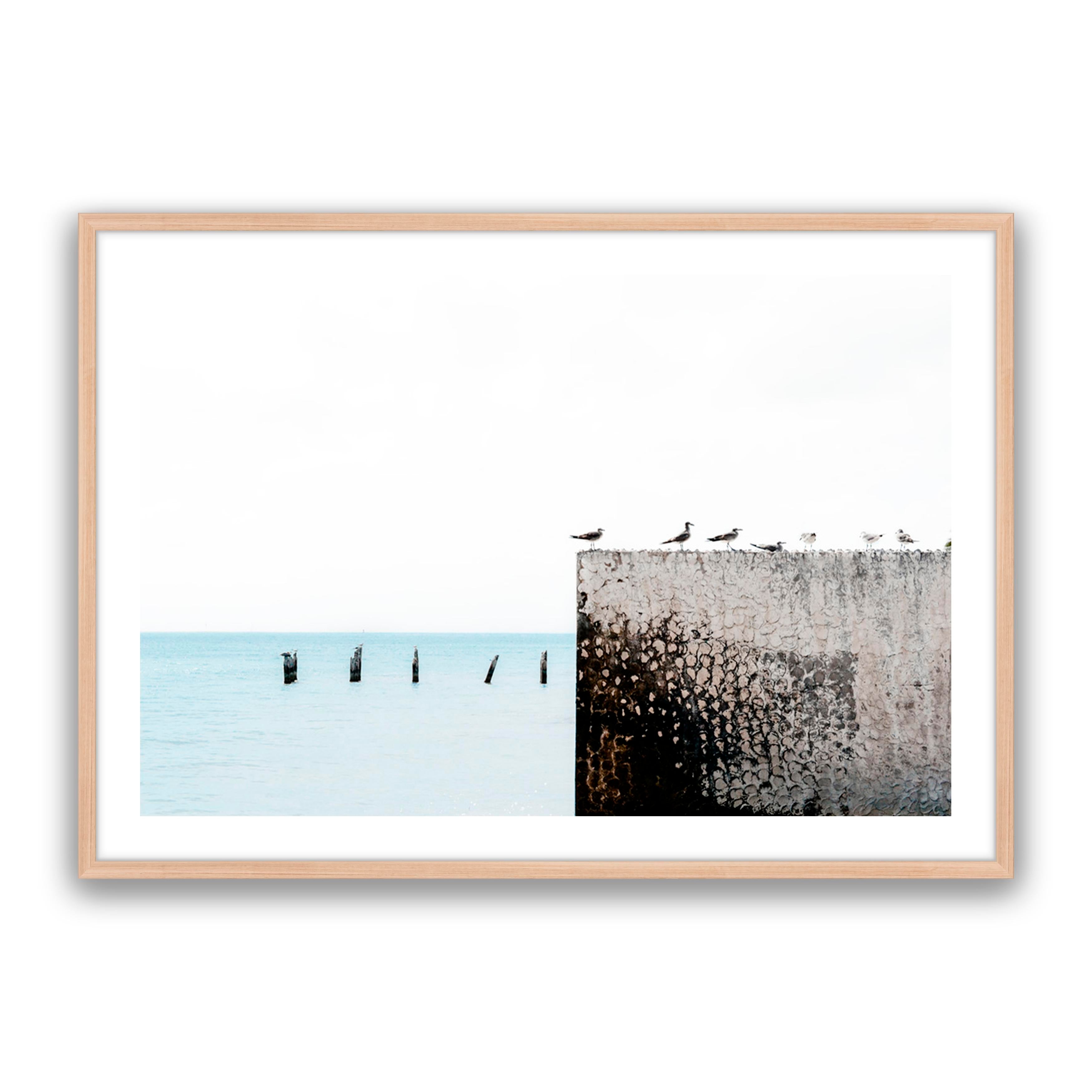 Birds View