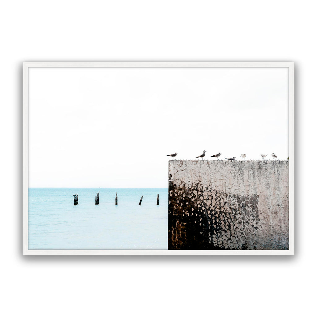 Birds View
