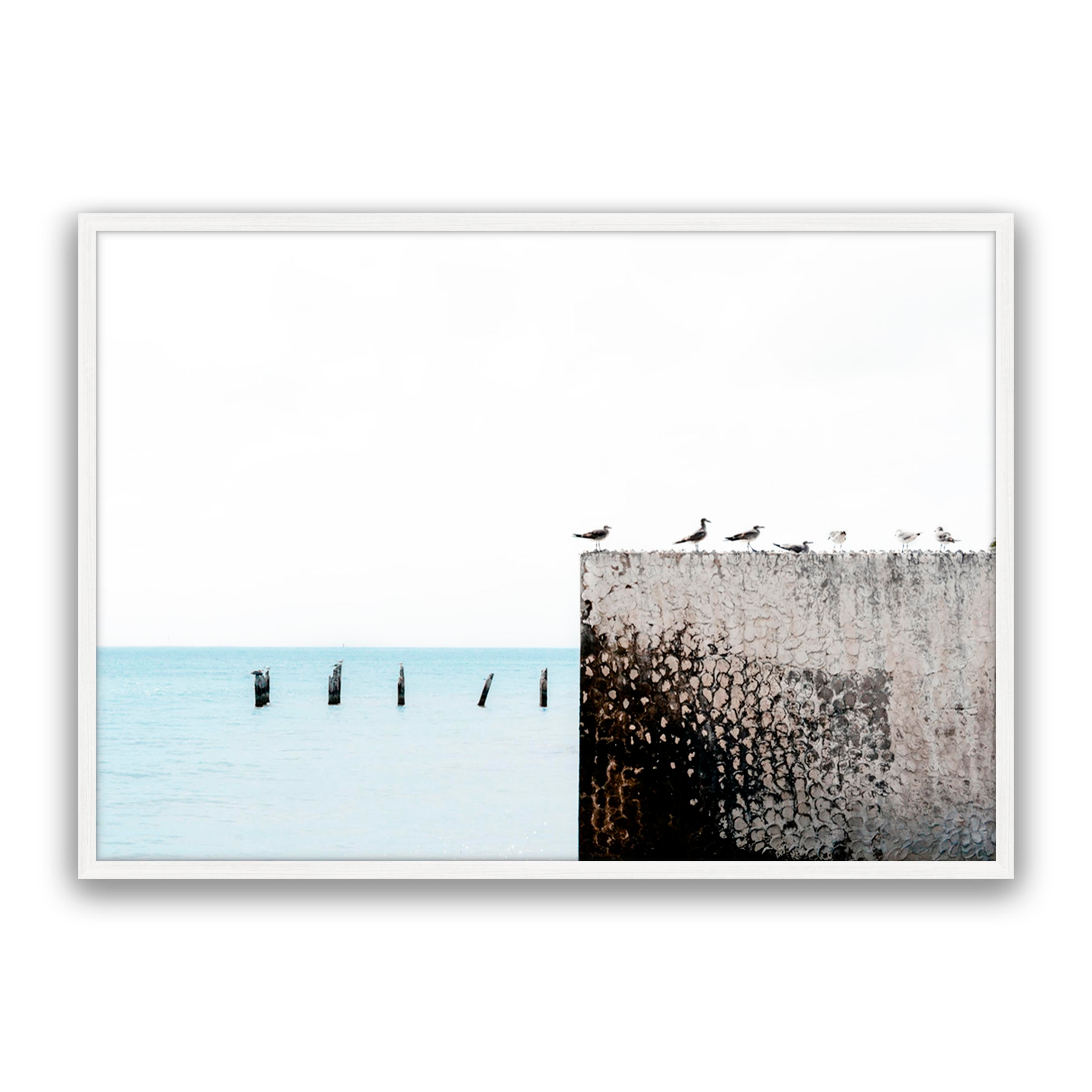 Birds View