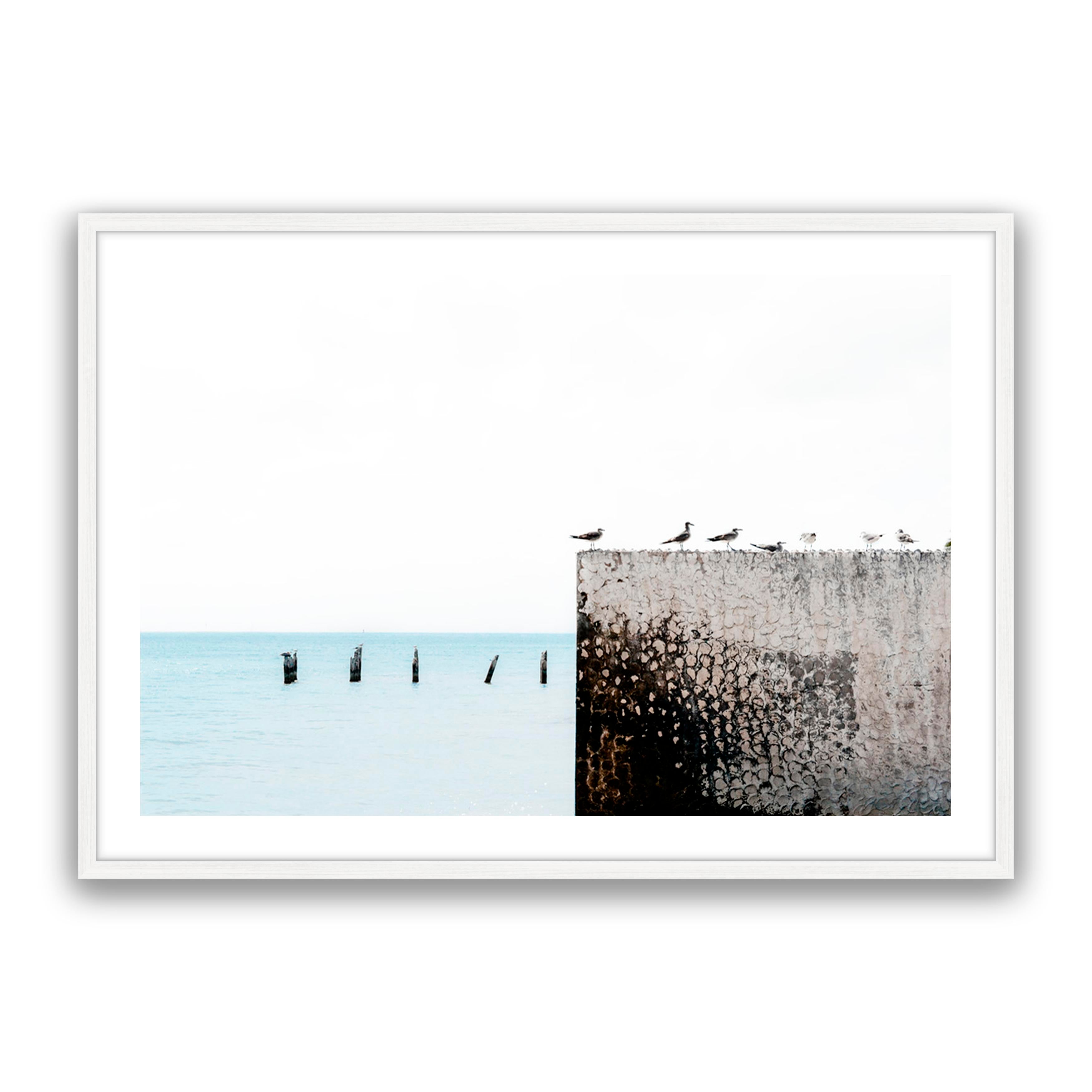 Birds View