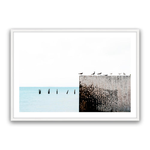 Birds View