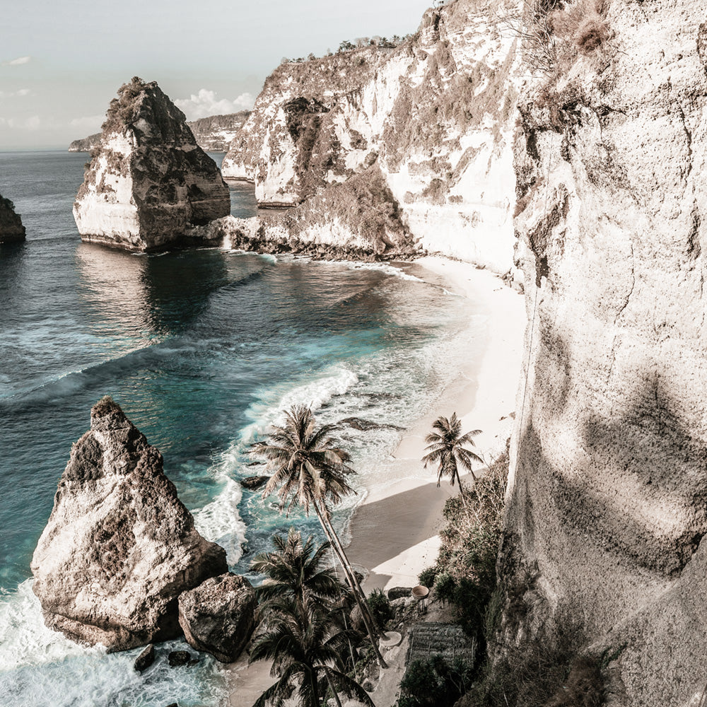 Palm Rock