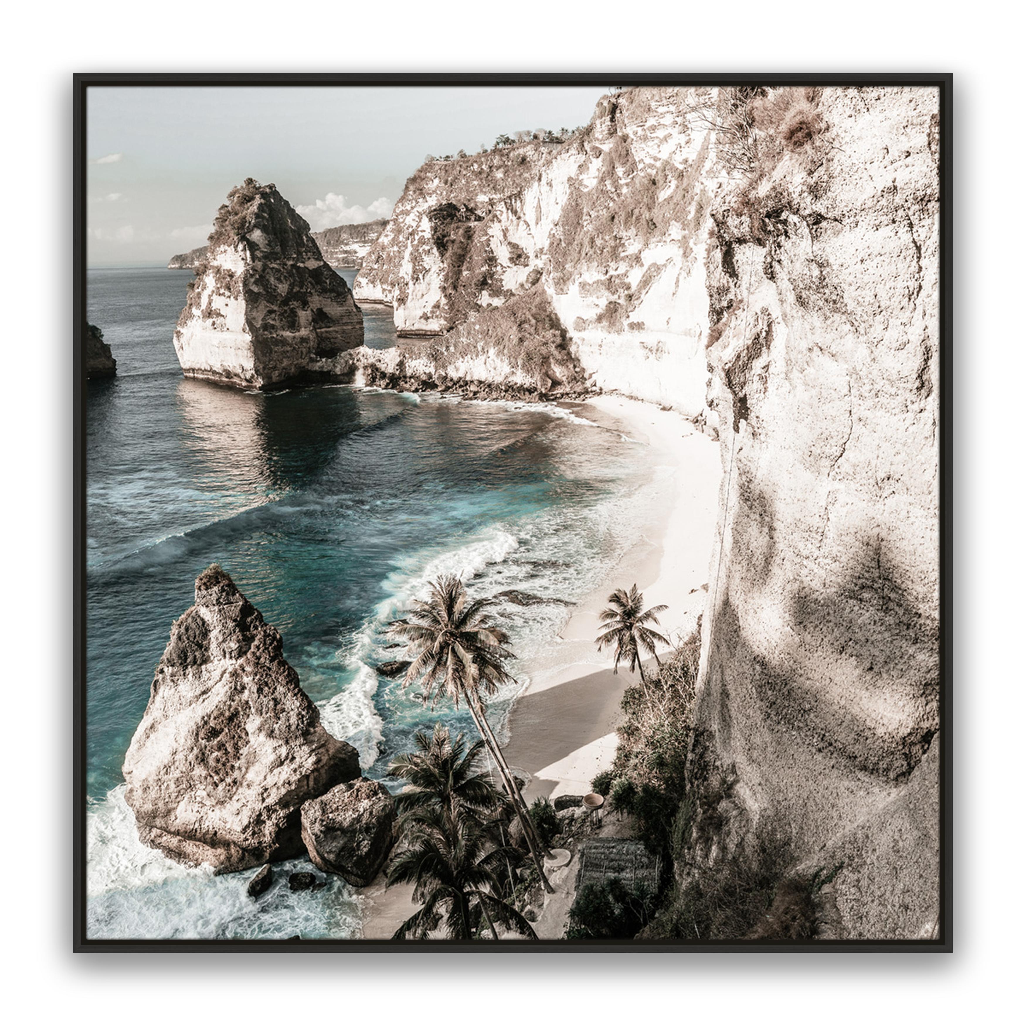 Palm Rock