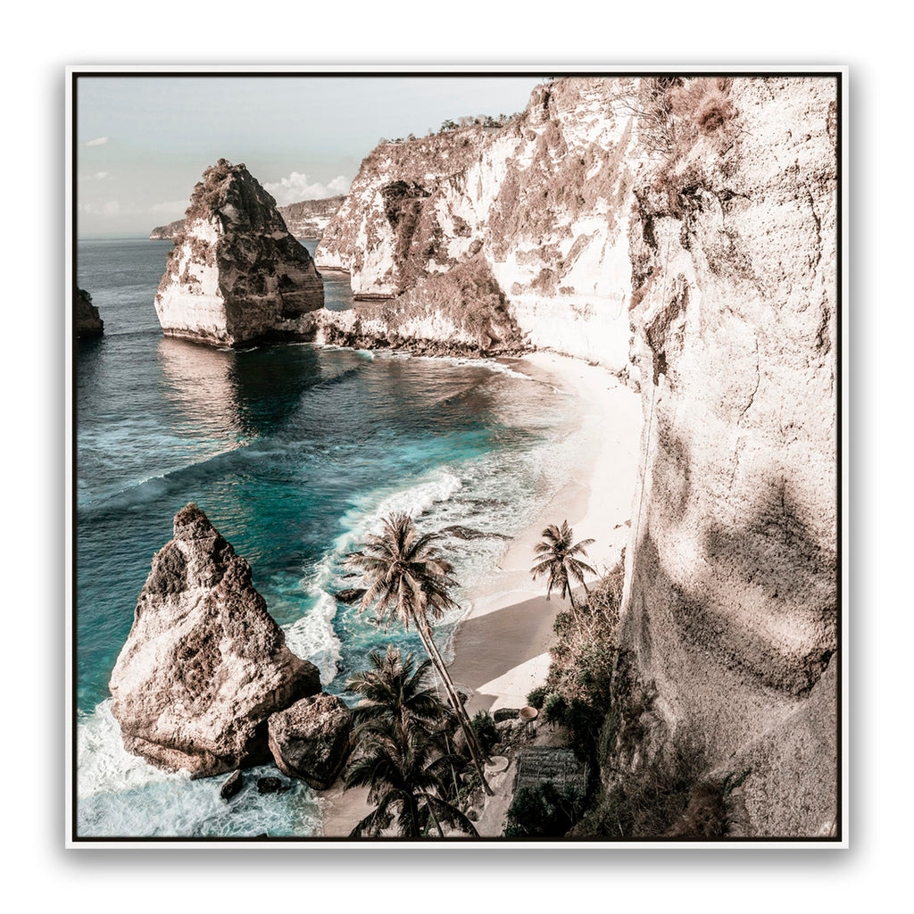 Palm Rock