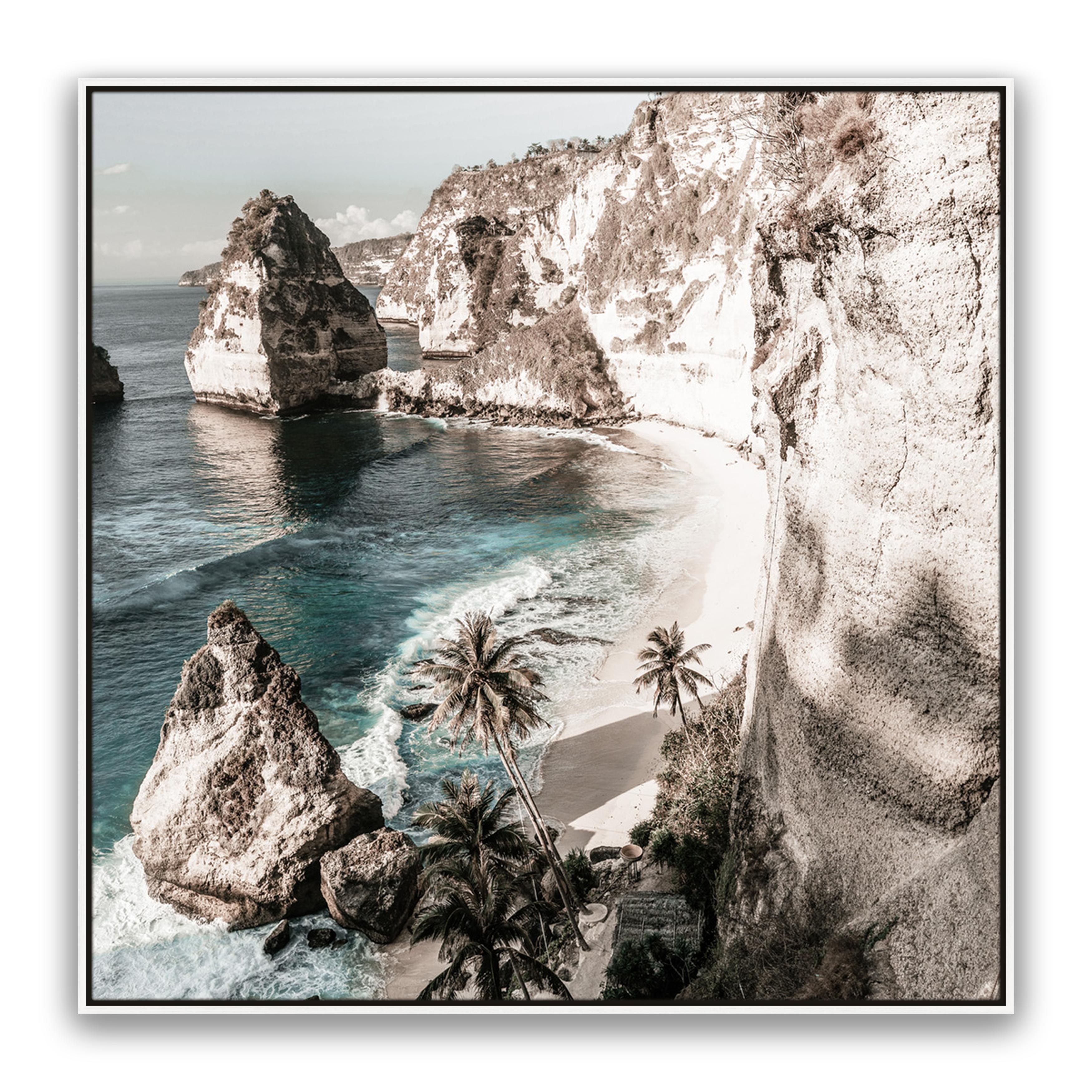 Palm Rock