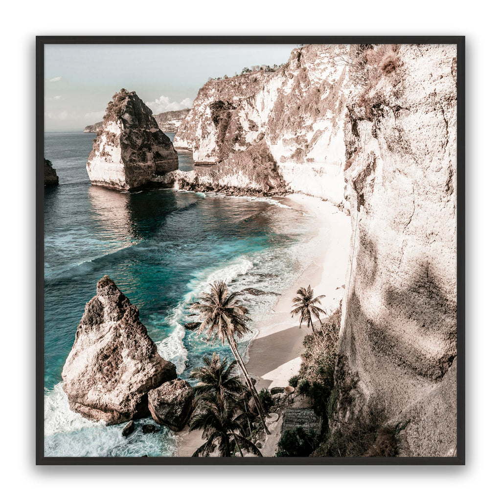 Palm Rock