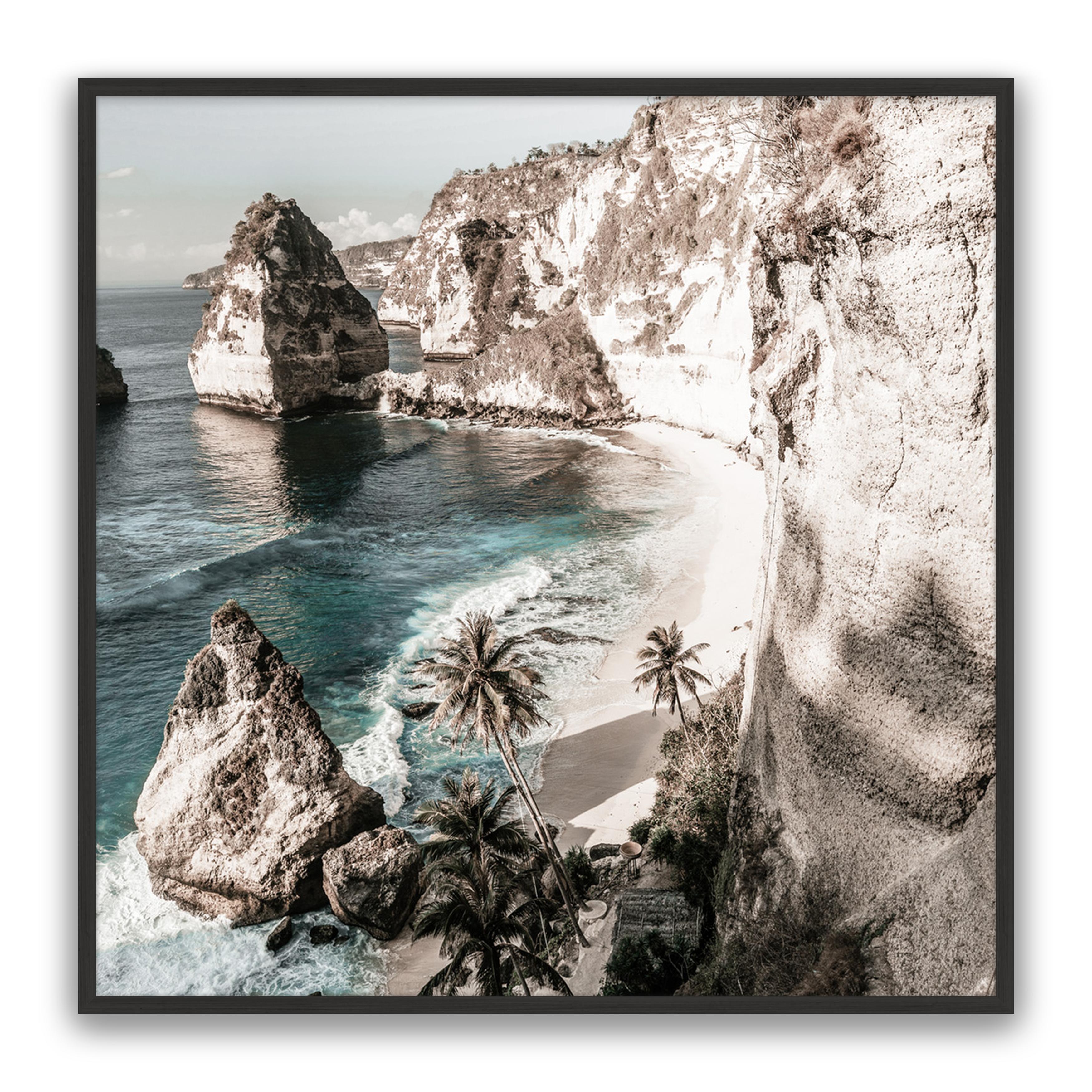 Palm Rock