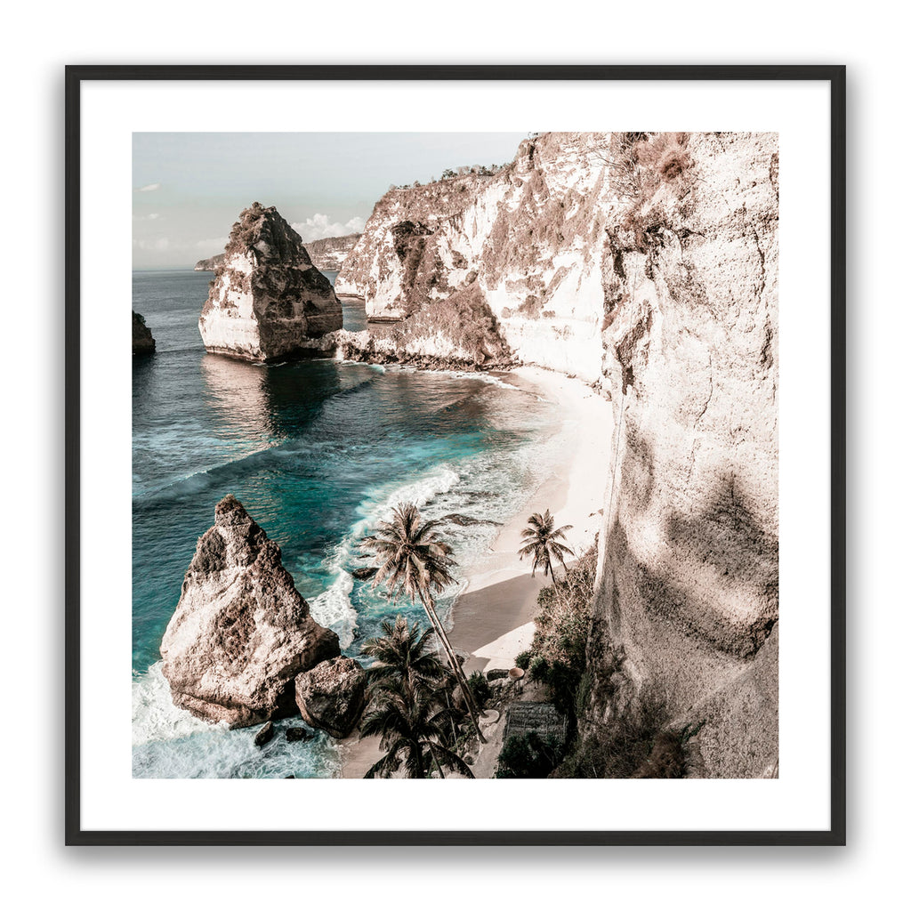Palm Rock