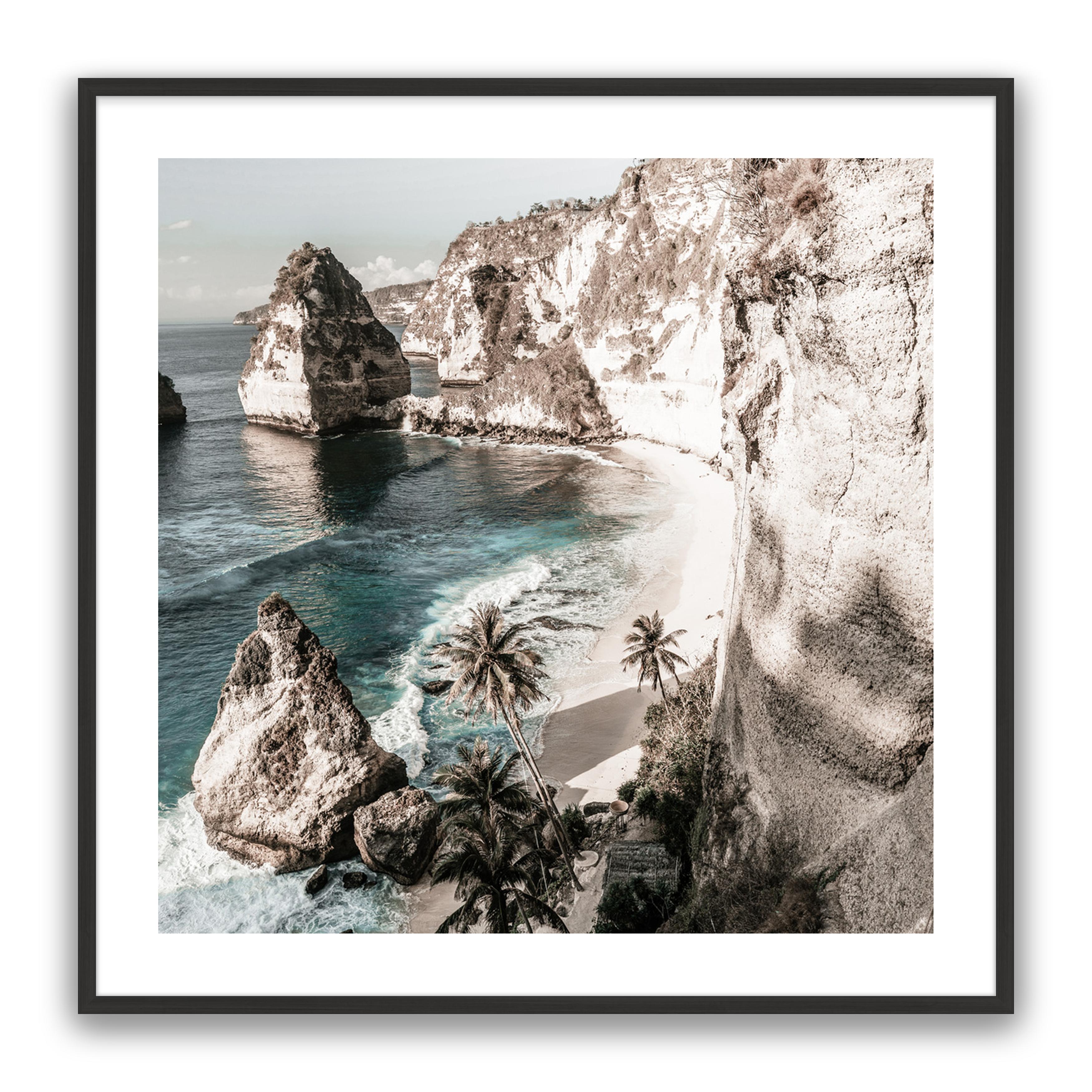 Palm Rock