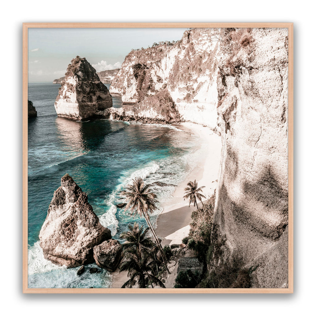 Palm Rock