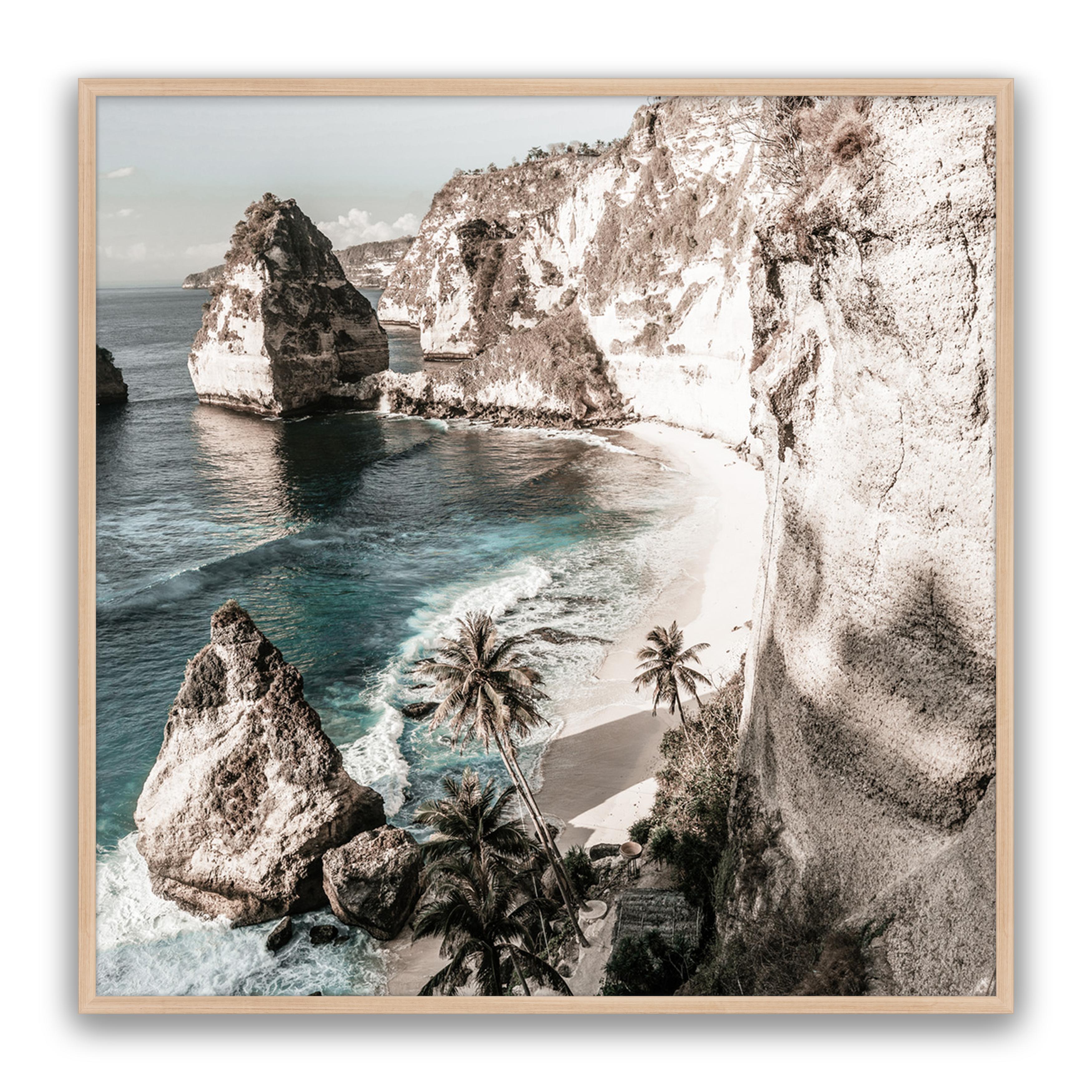 Palm Rock