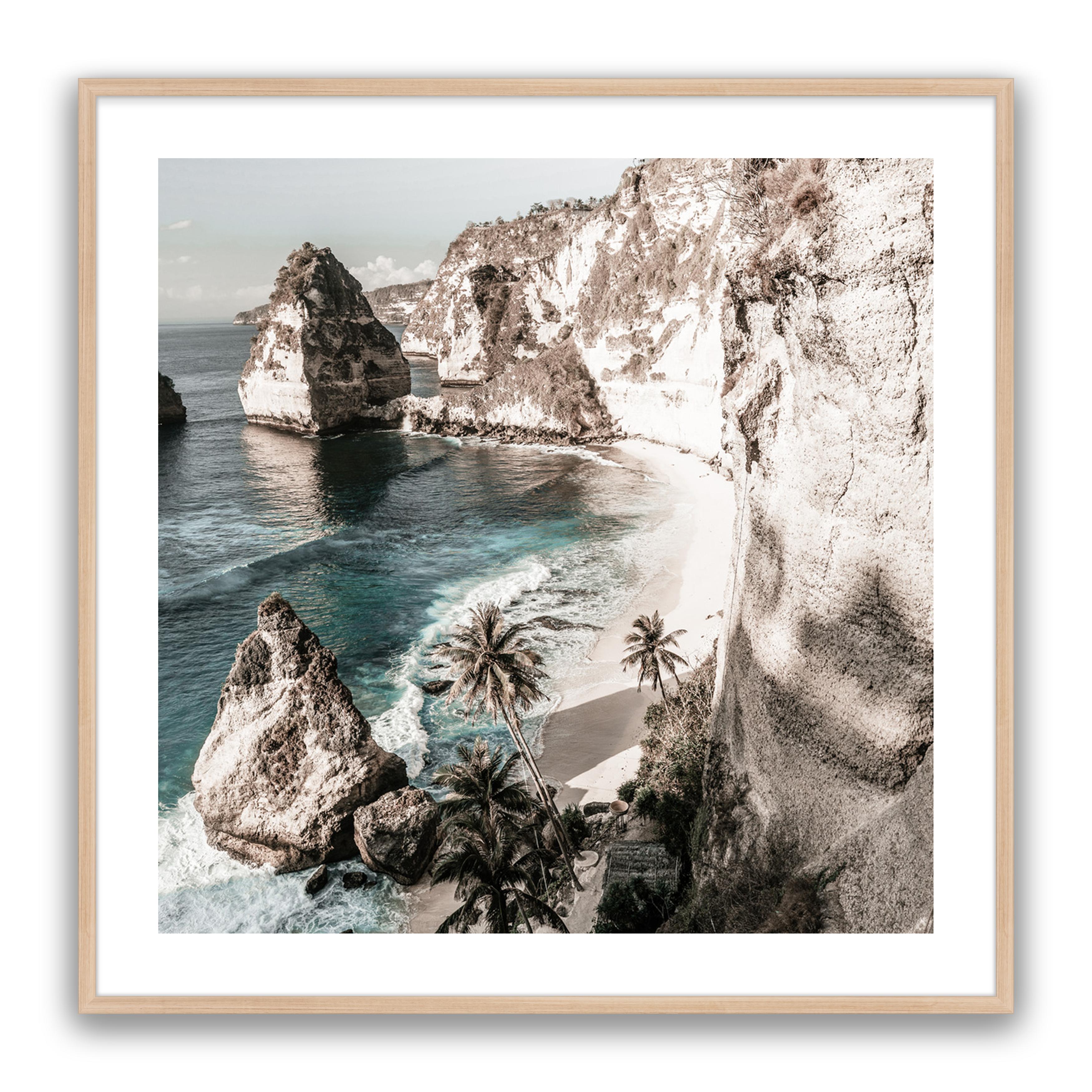 Palm Rock