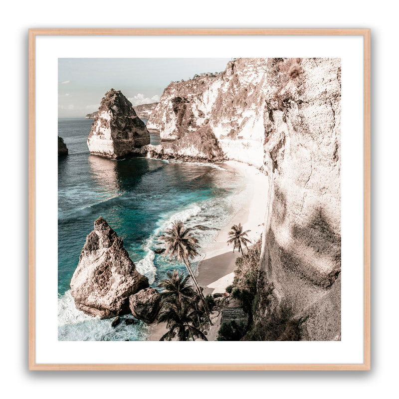 Palm Rock