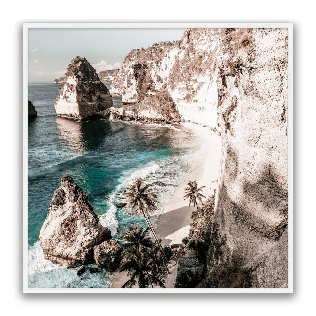 Palm Rock