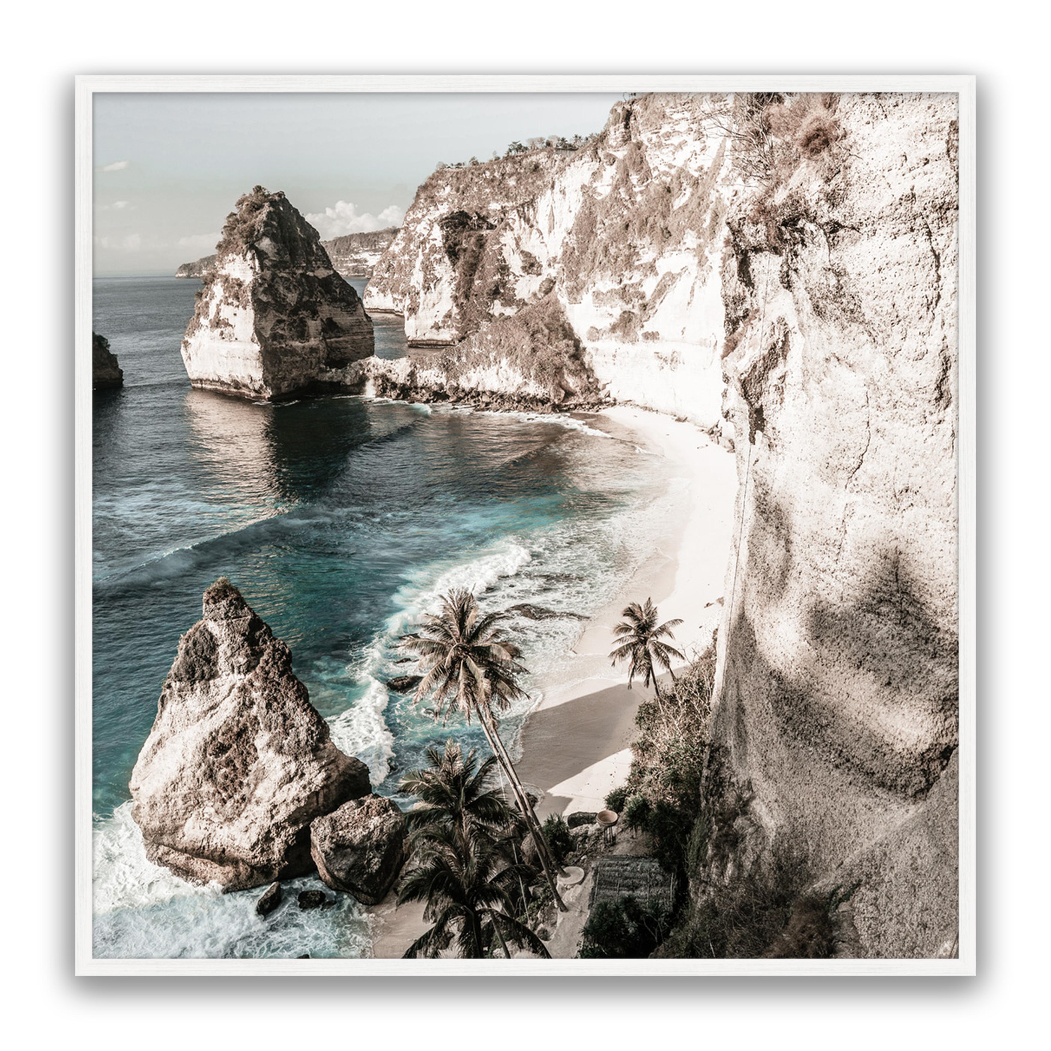 Palm Rock
