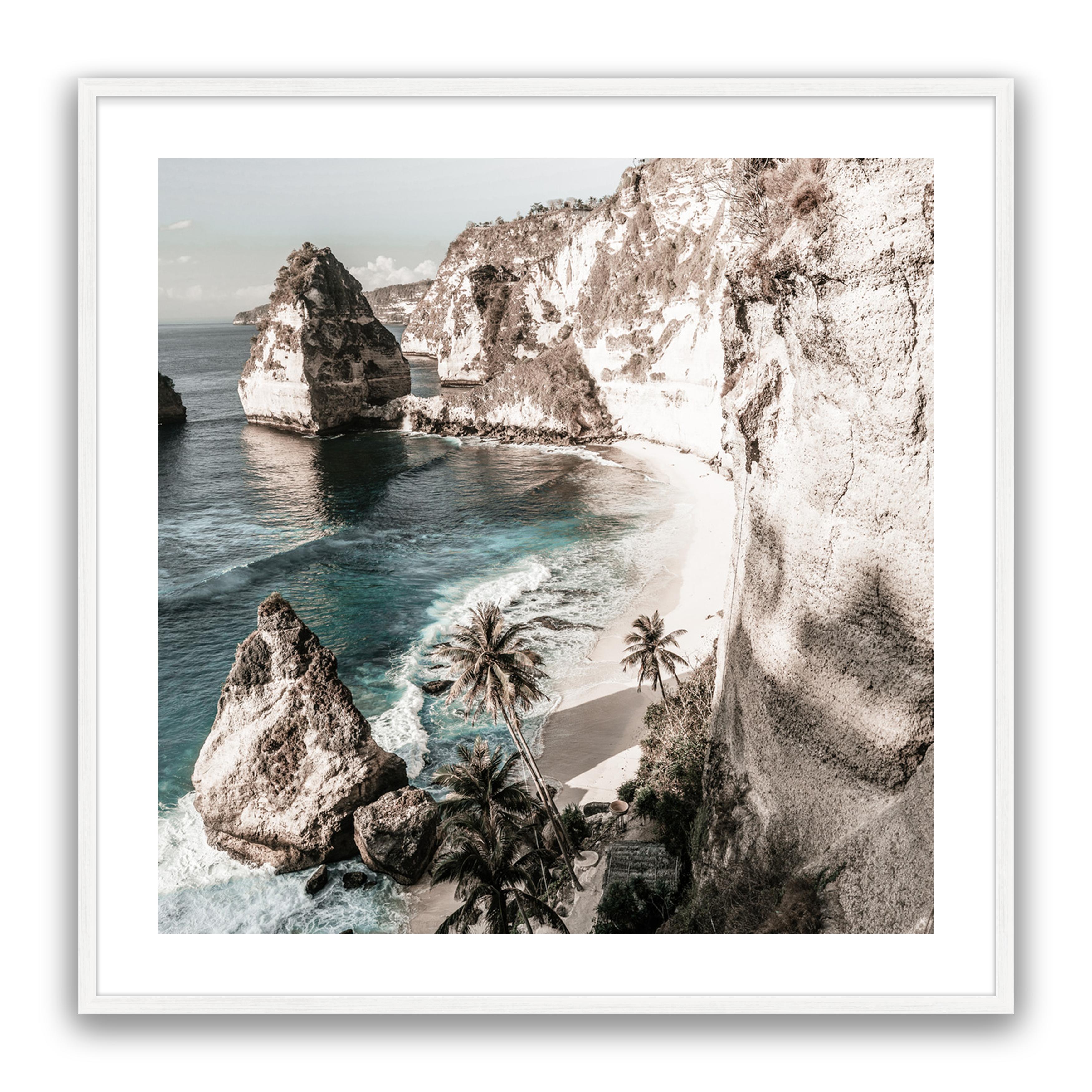 Palm Rock