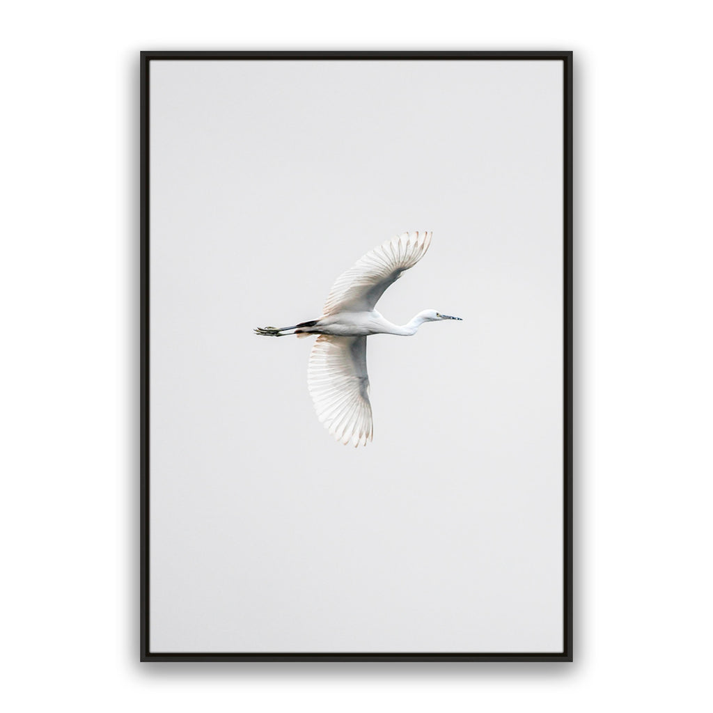 In Flight