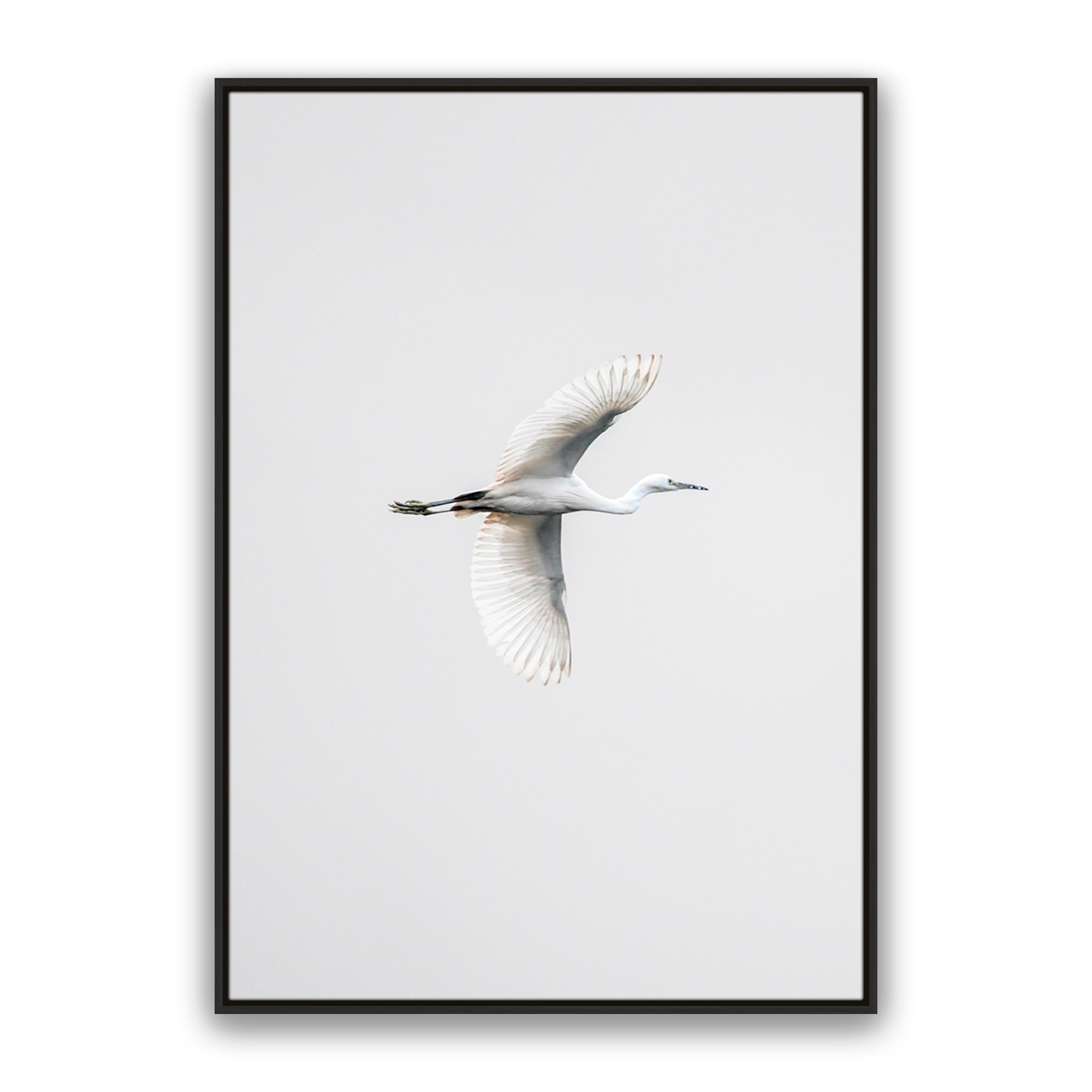 In Flight