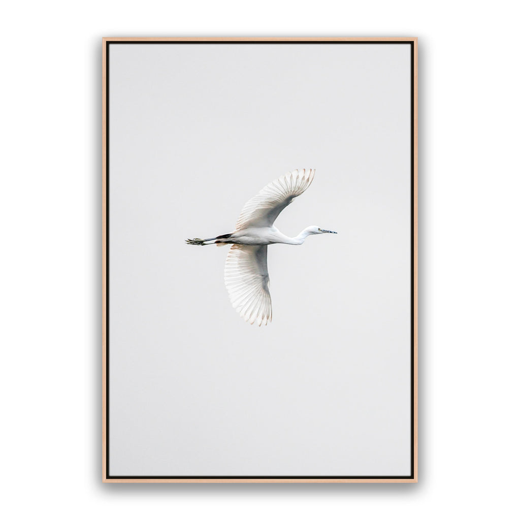 In Flight