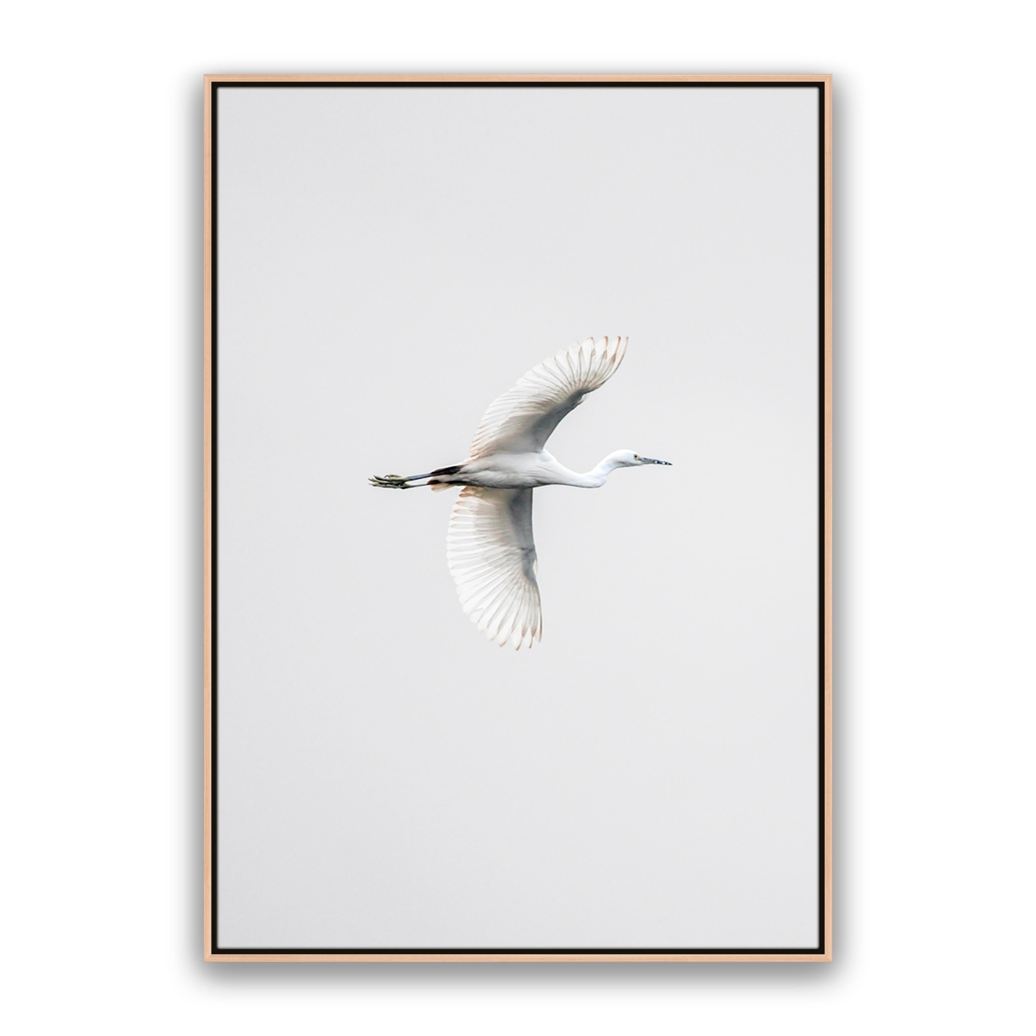 In Flight