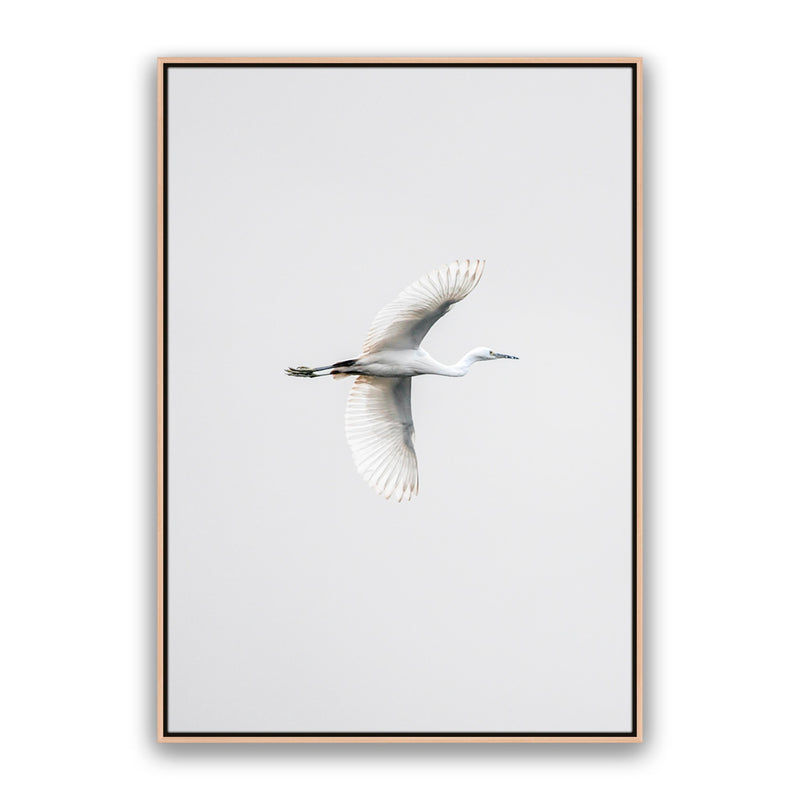 In Flight