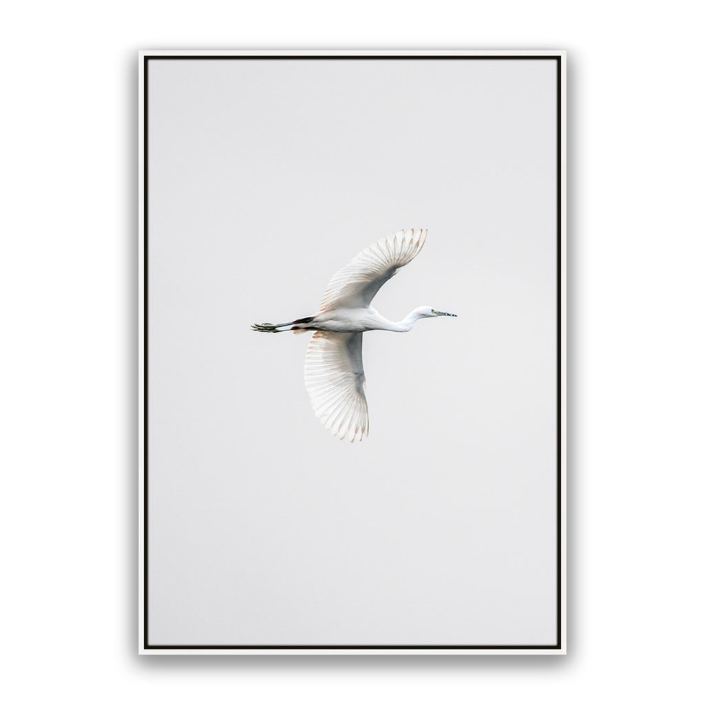 In Flight