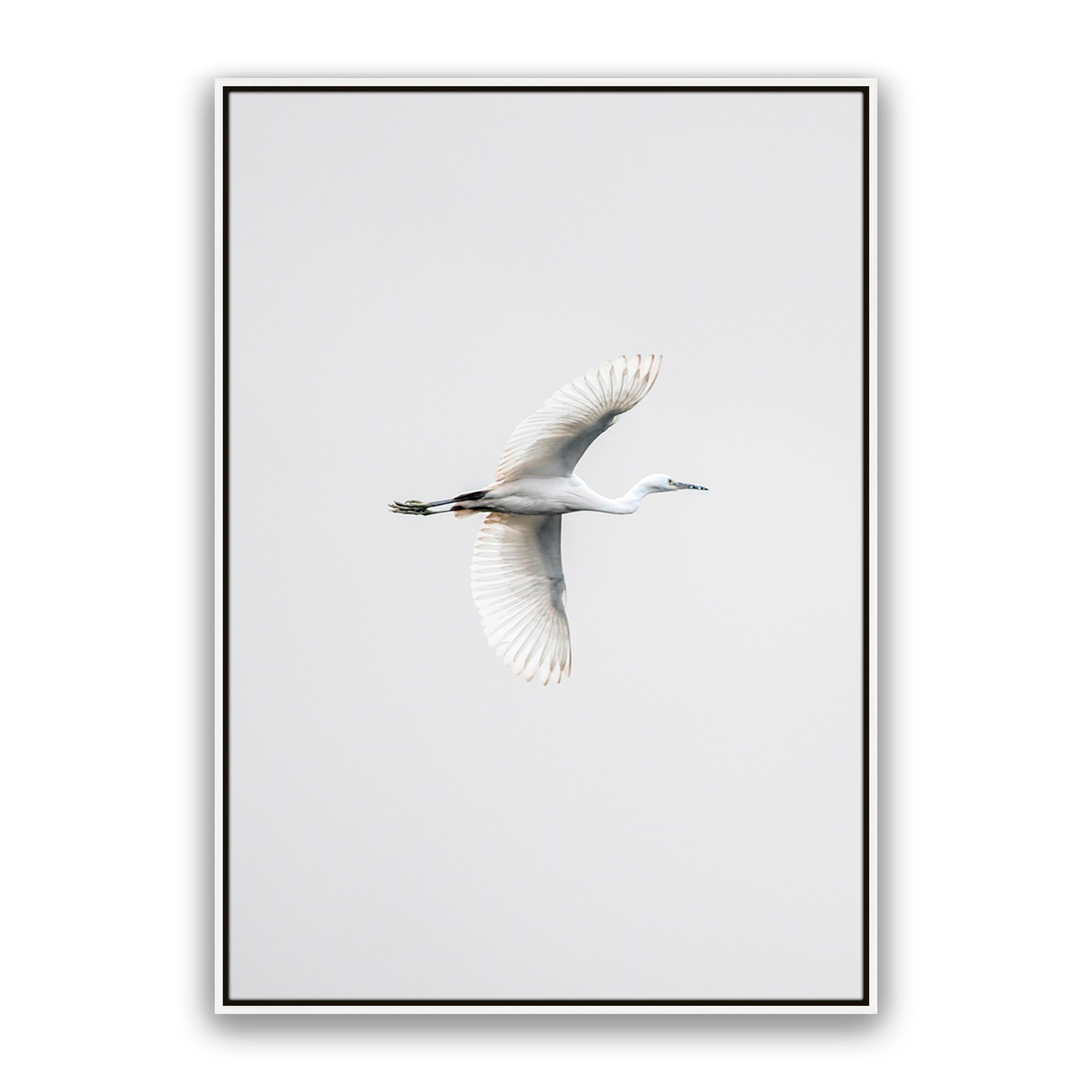 In Flight