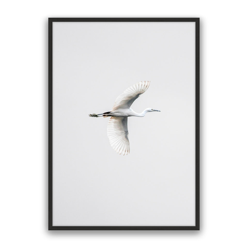 In Flight