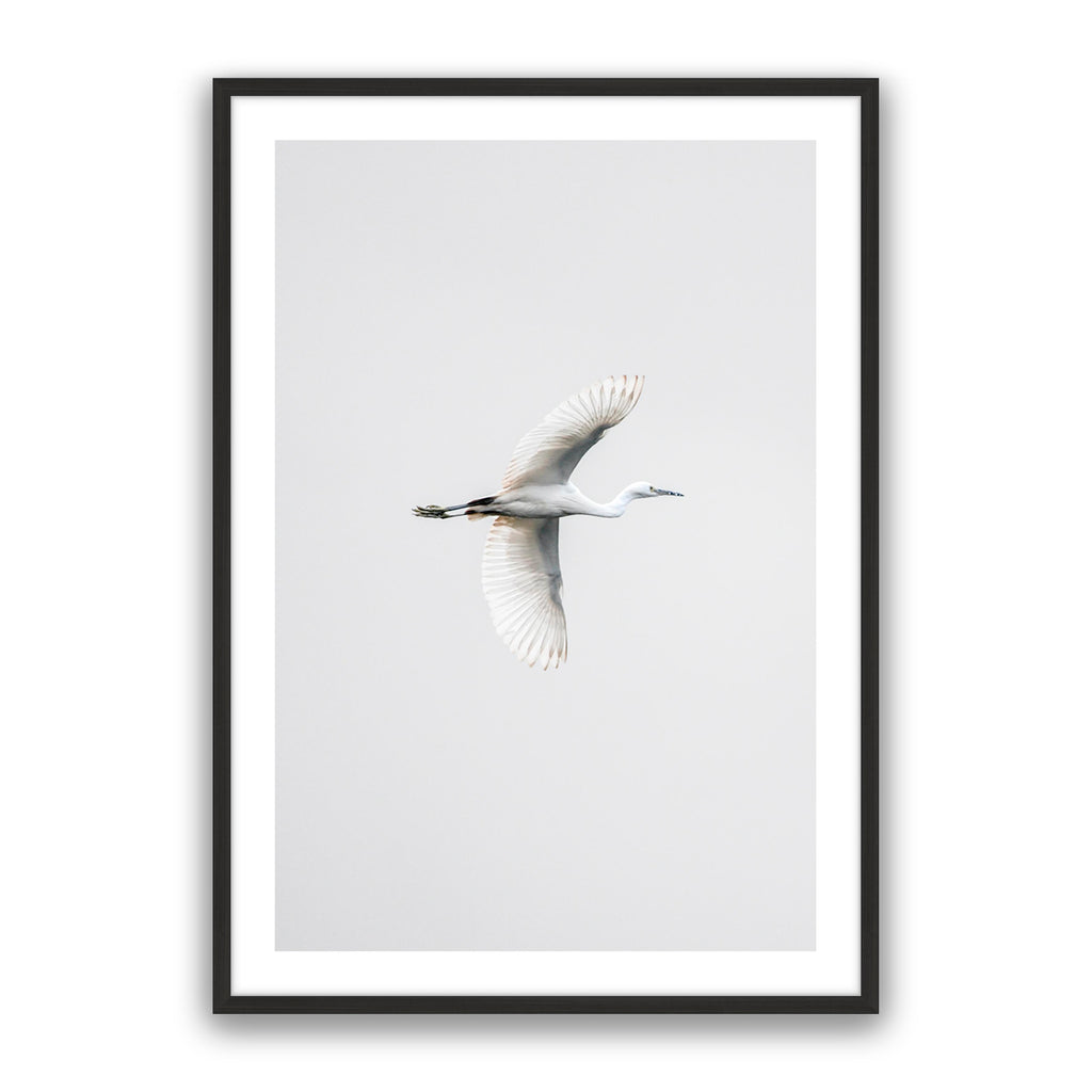 In Flight