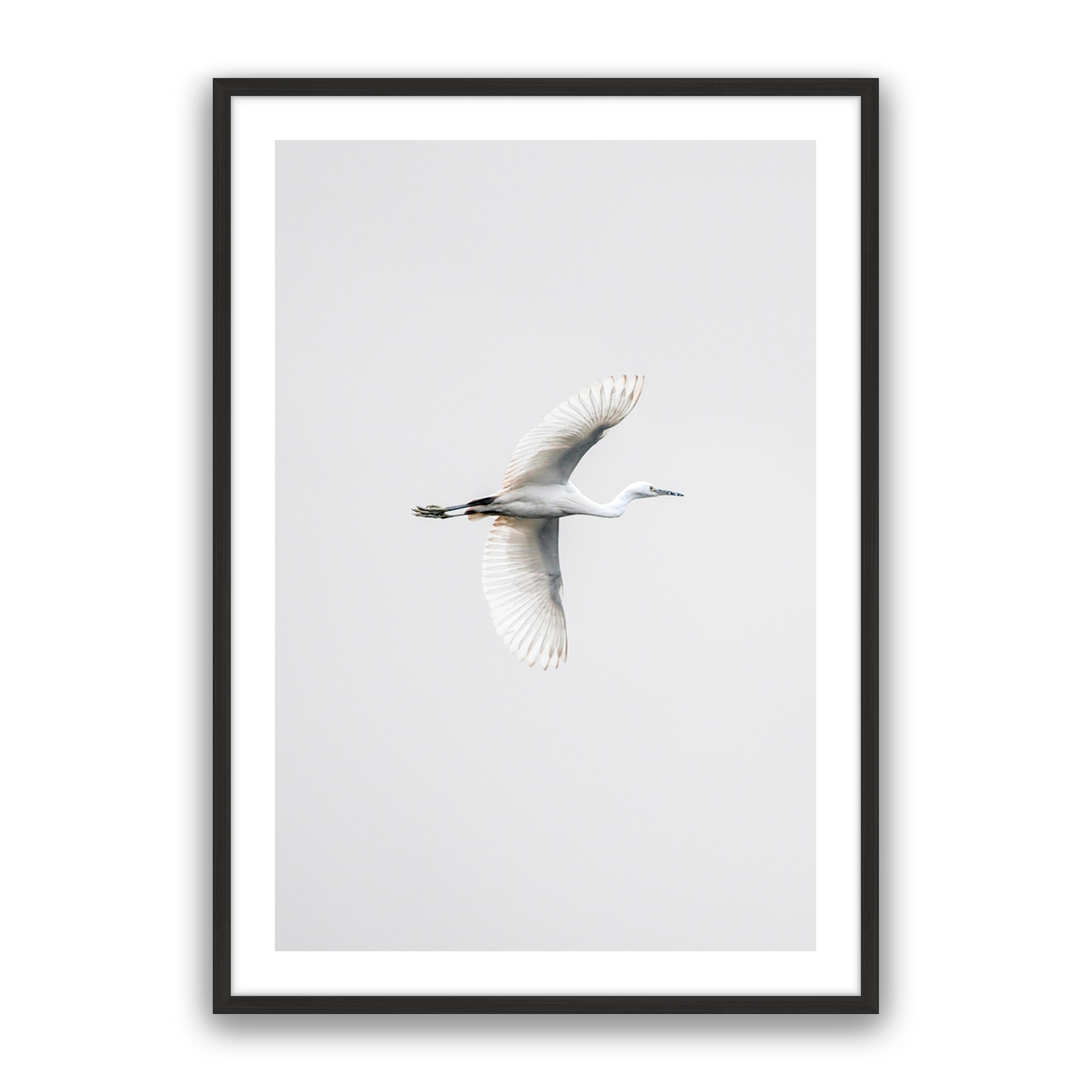 In Flight