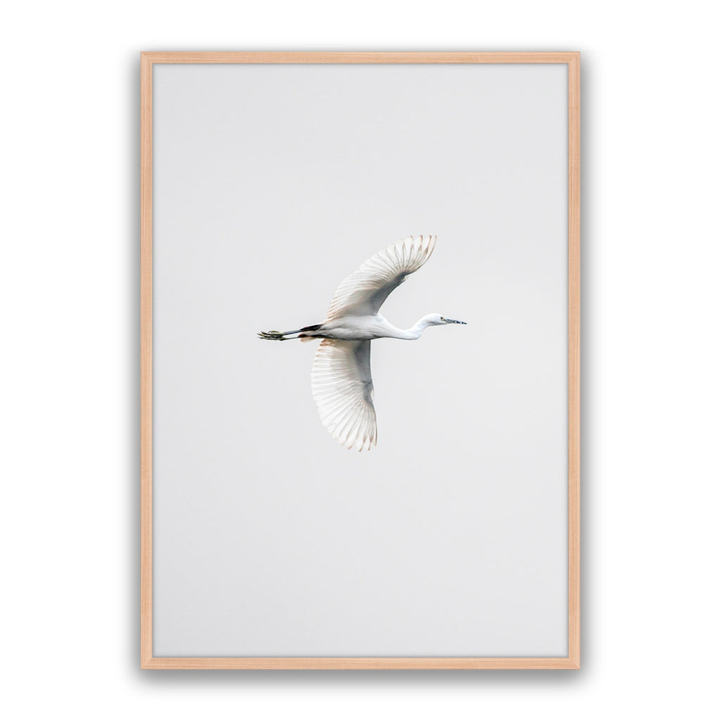 In Flight