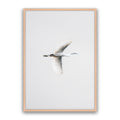 In Flight