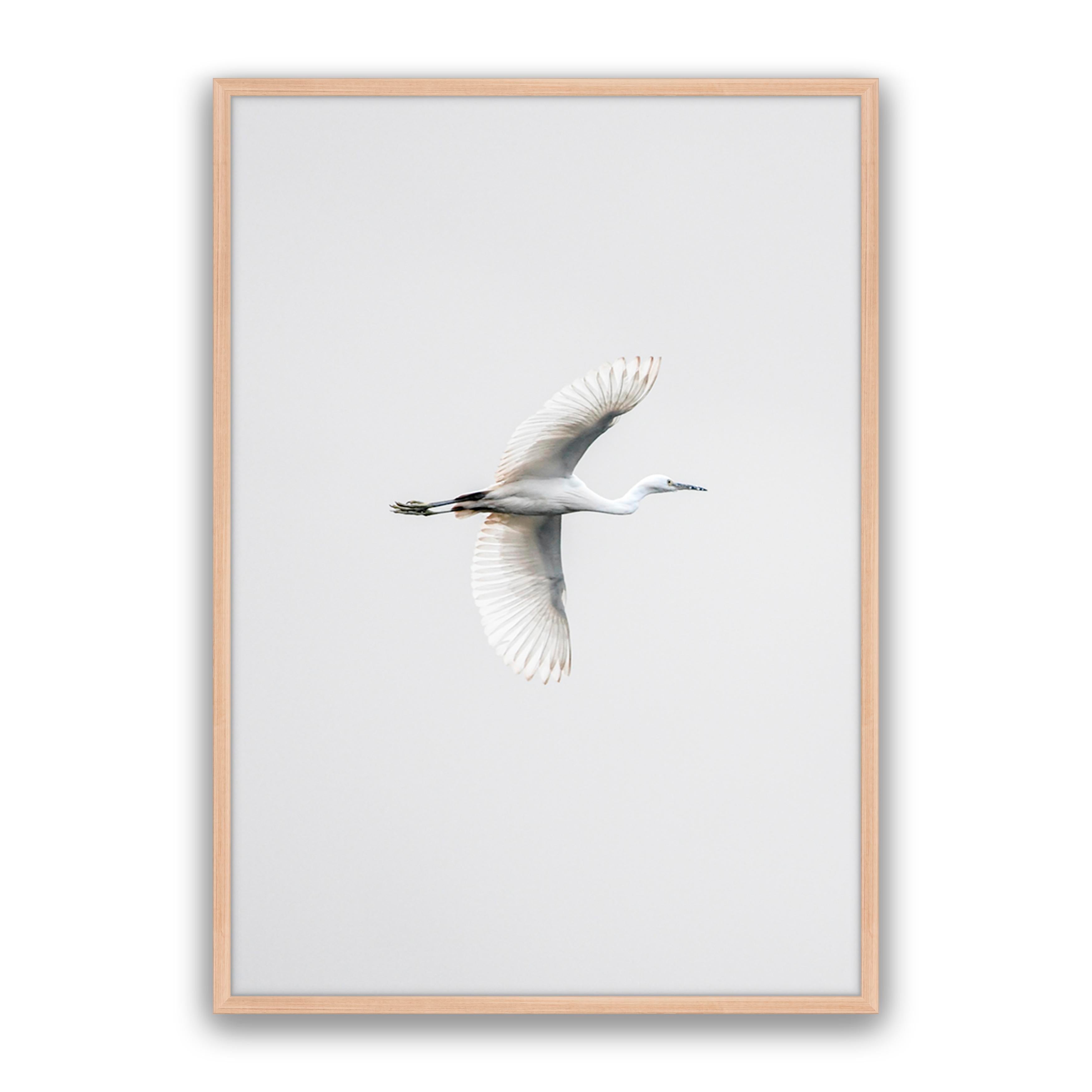 In Flight