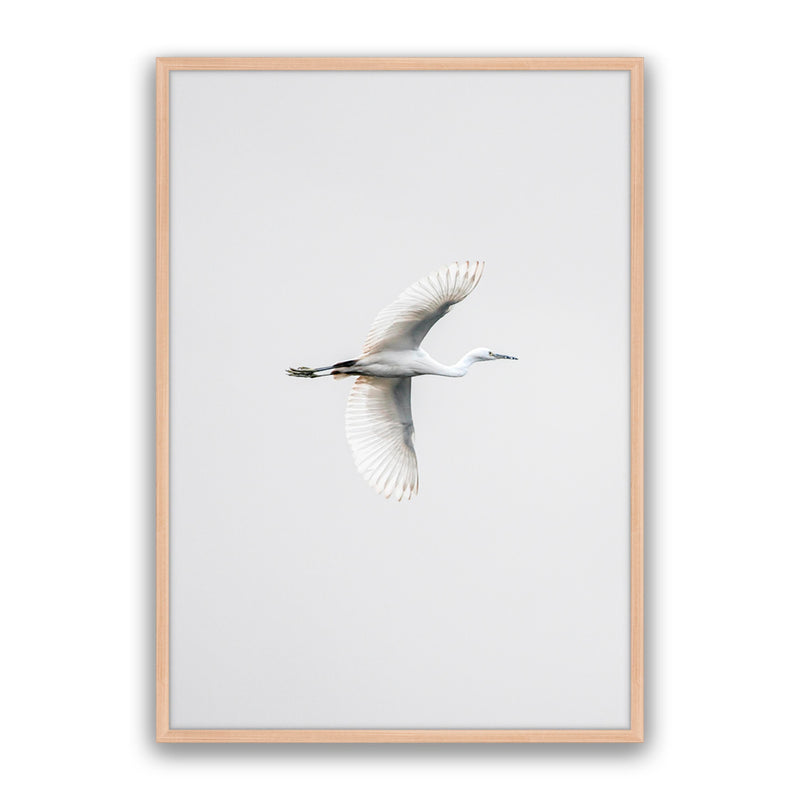 In Flight