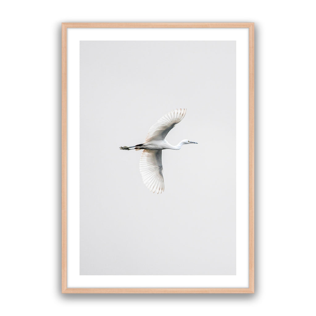 In Flight