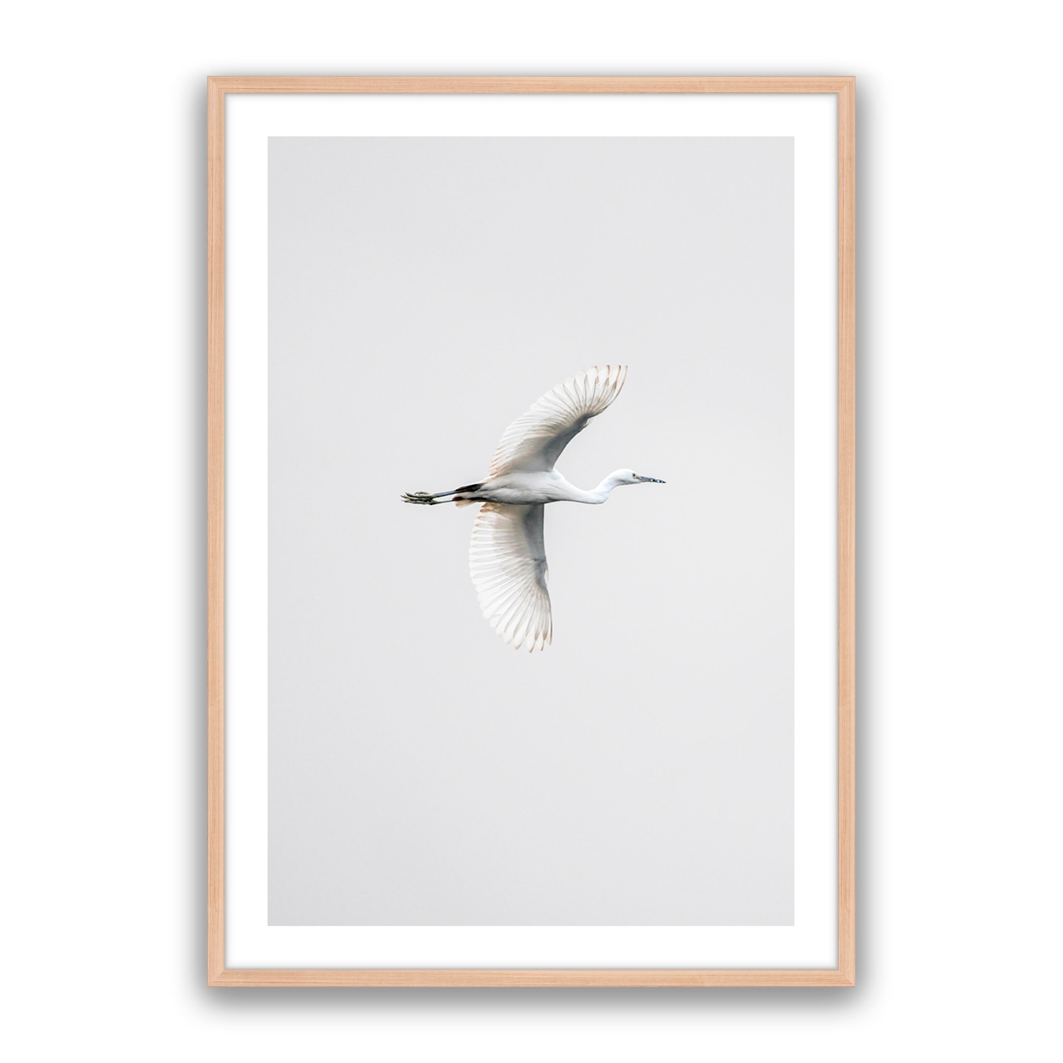 In Flight