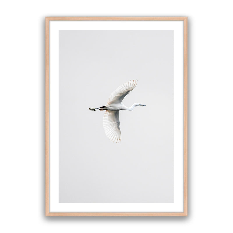 In Flight