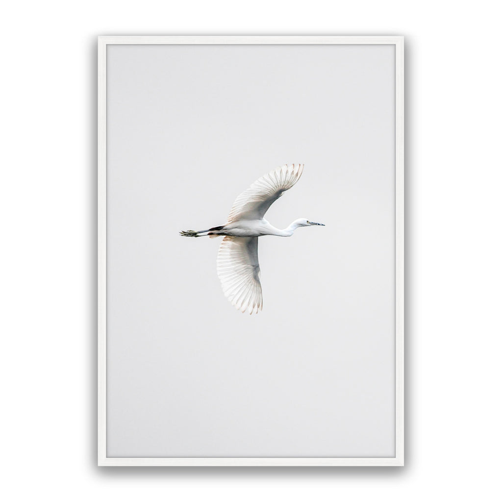 In Flight