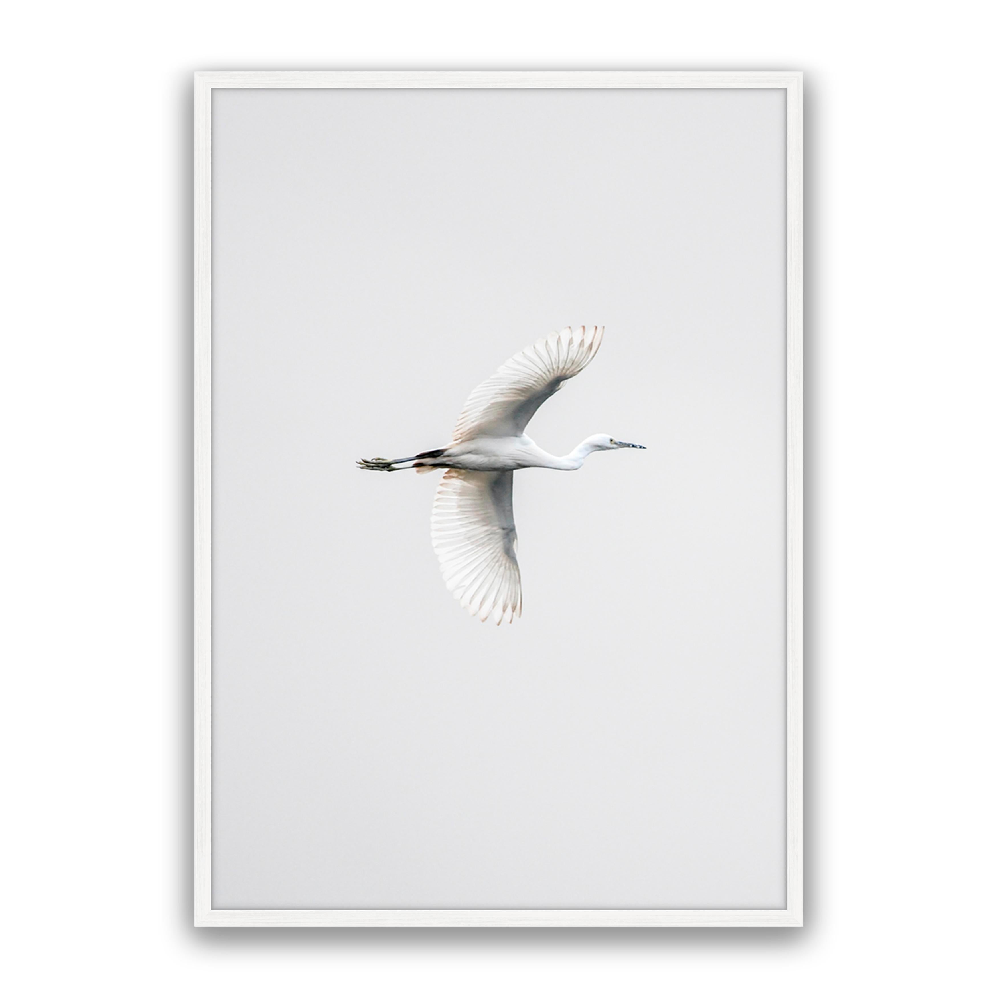 In Flight