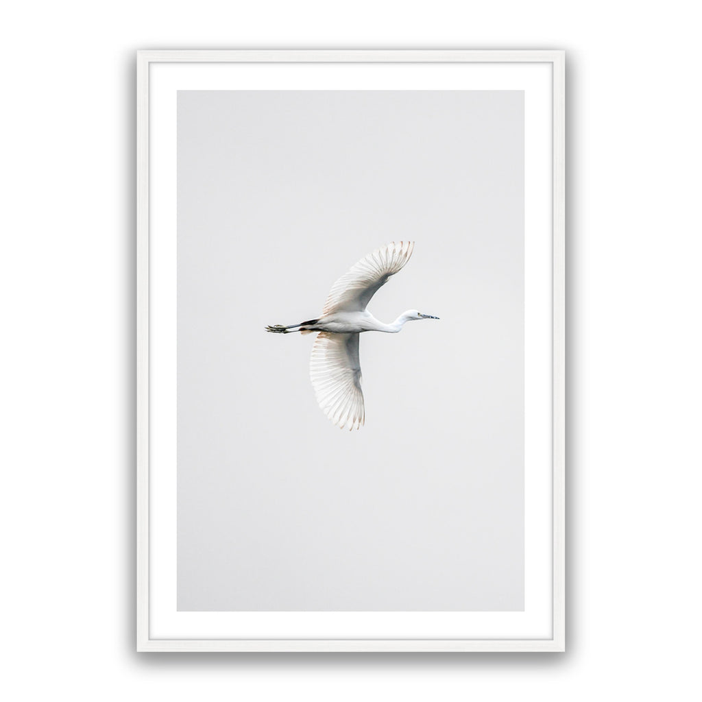 In Flight