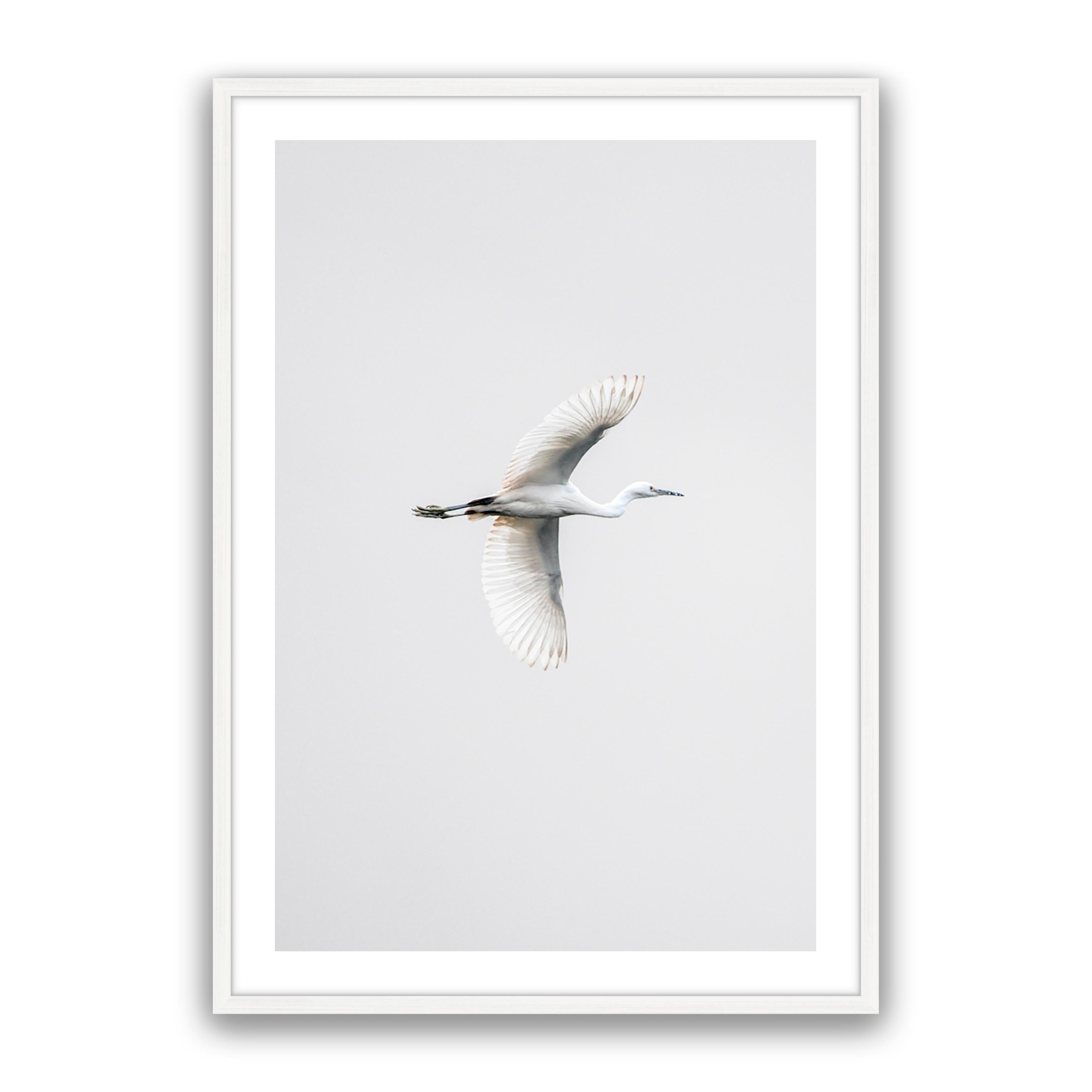 In Flight