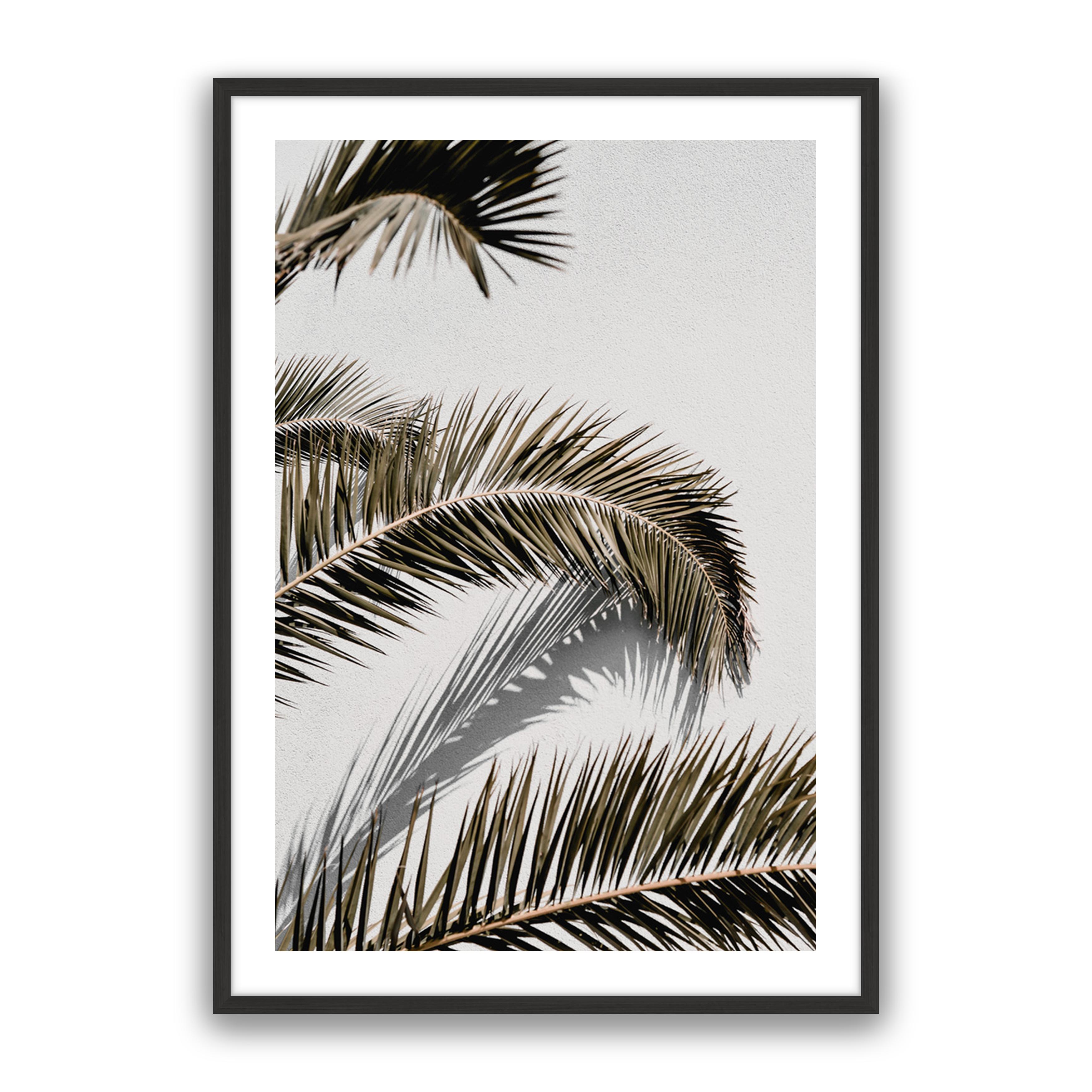 Vacay Palm 01