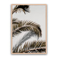 Vacay Palm 01
