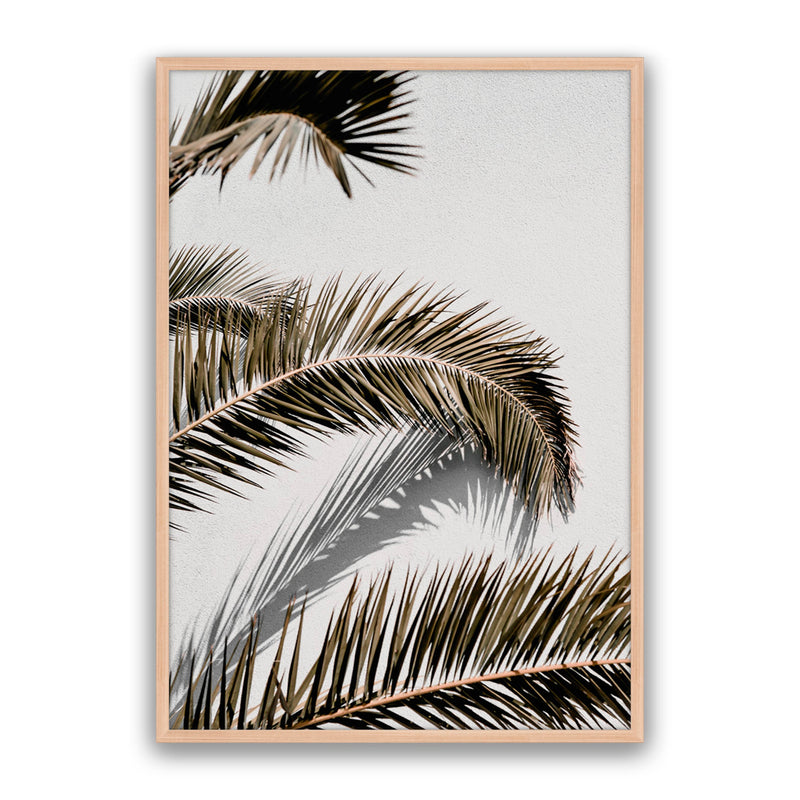 Vacay Palm 01
