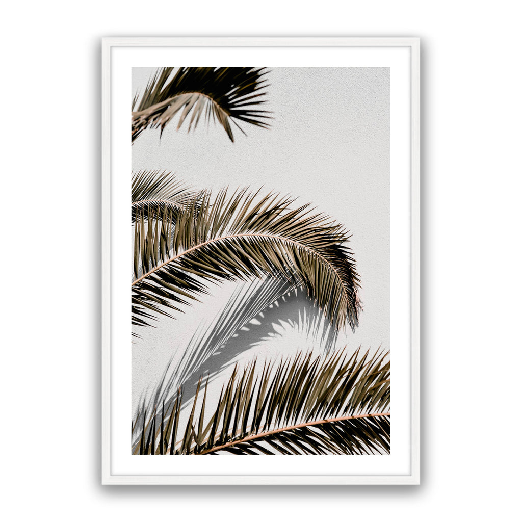 Vacay Palm 01