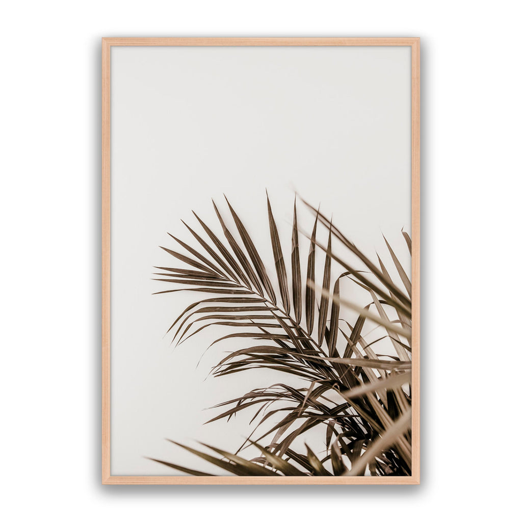 Vacay Palm 02