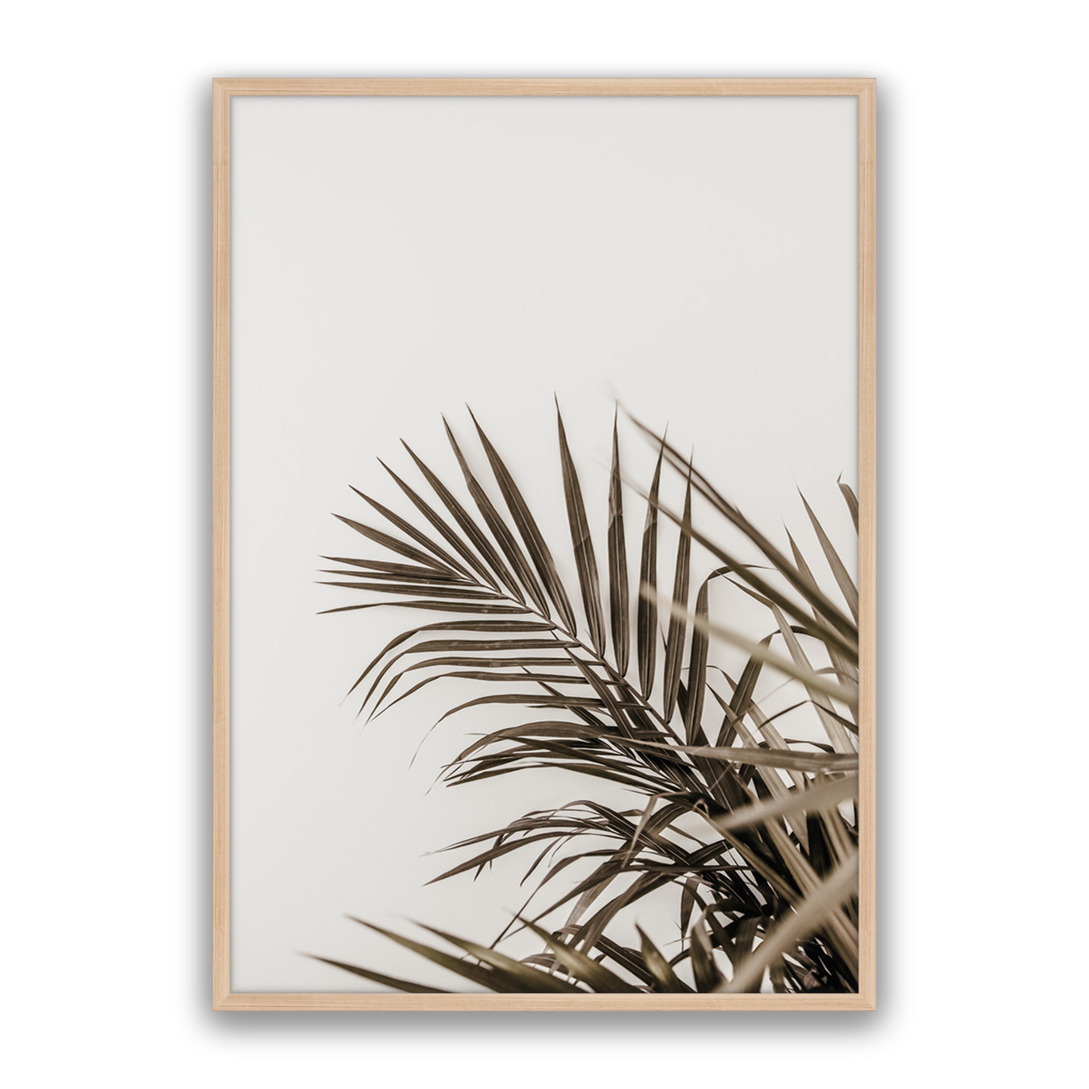 Vacay Palm 02
