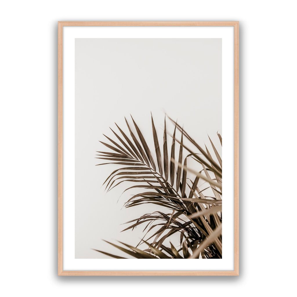 Vacay Palm 02